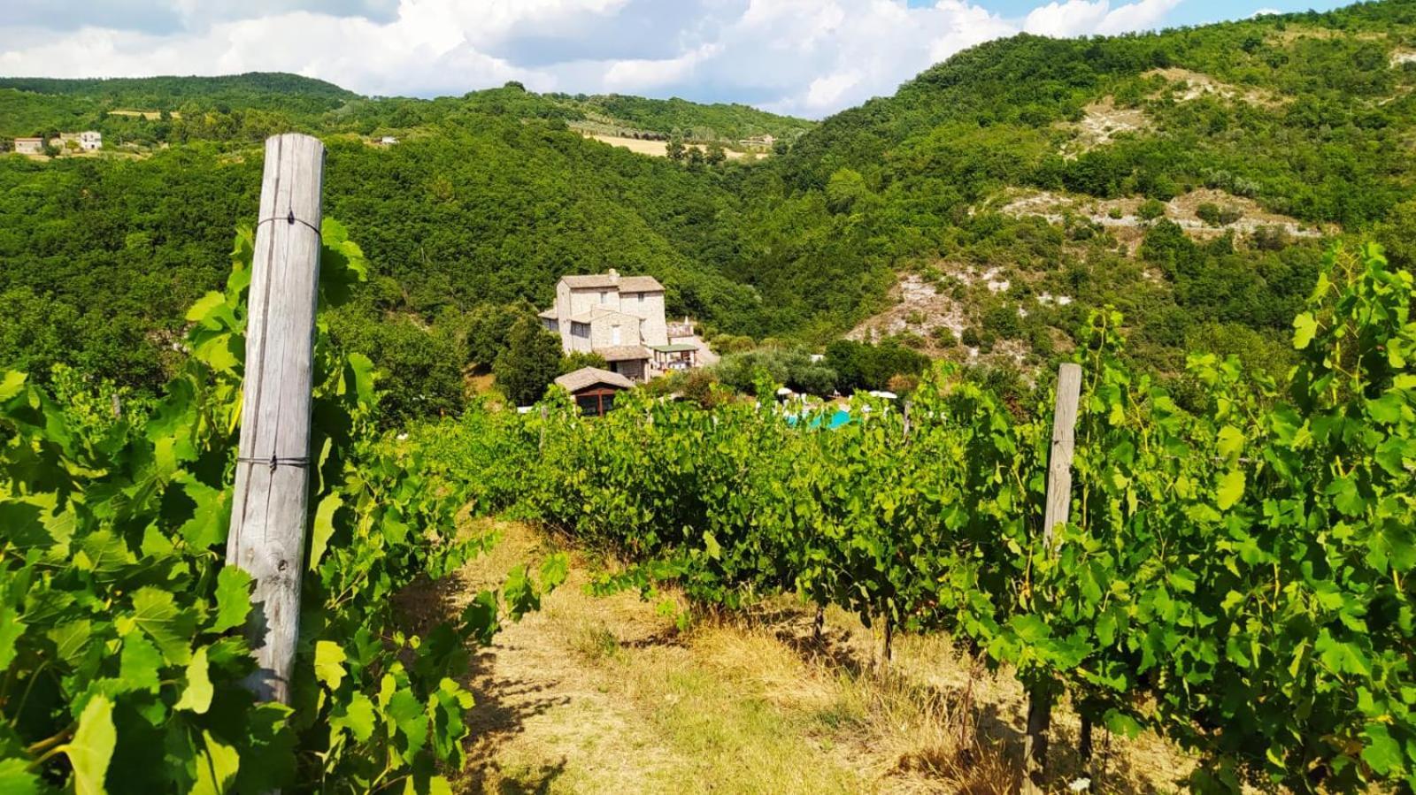 Re Artu Assisi Country Lifestyle Aparthotel Buitenkant foto